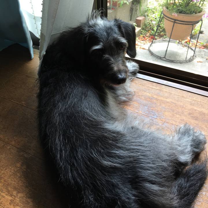 Af32af2a 62f3 4188 8c81 fdc10f3d2c97