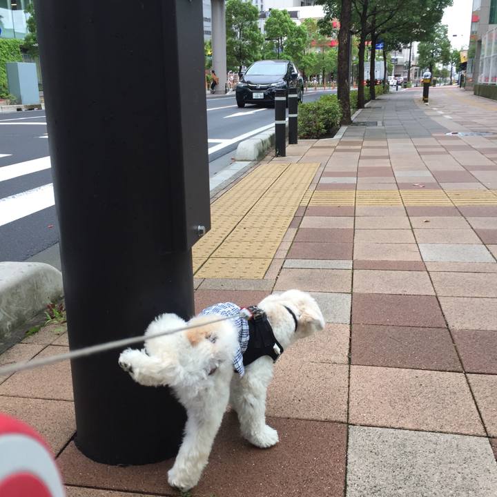 Af32d9c0 4894 47ac 9a5b 4ffd78bb0606