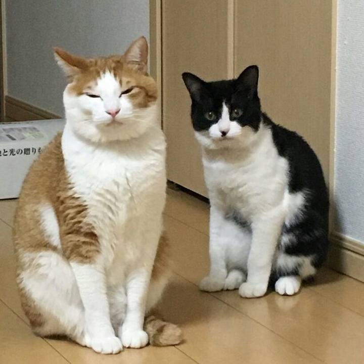 Af32fd64 5fde 47b7 9bd9 0c221d8a576e