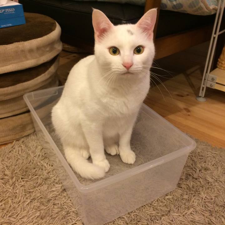 Af33e675 44a5 46f7 977e 1e19acd32166