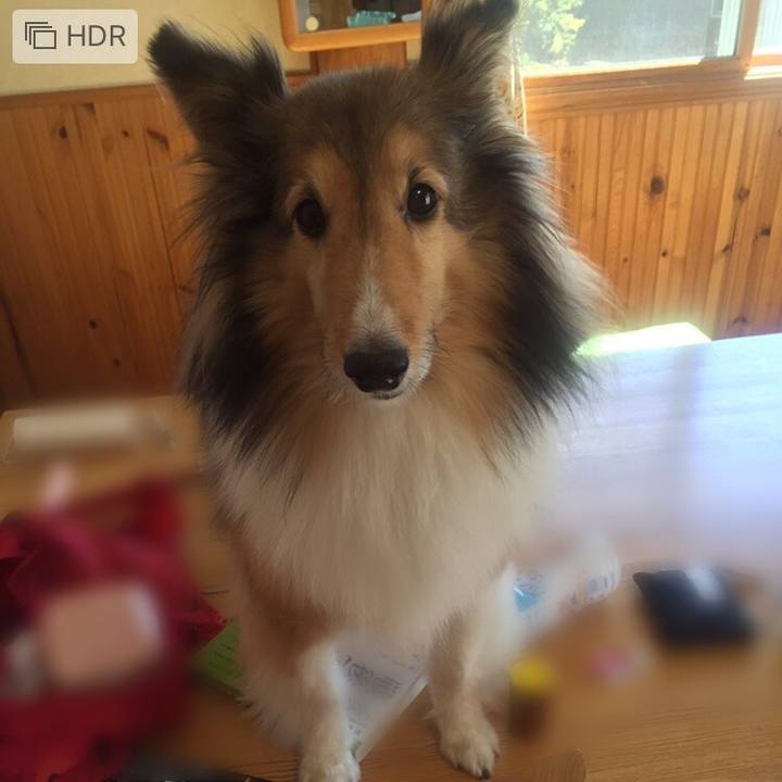 Af3417c9 dd54 4b48 b304 94a676138402