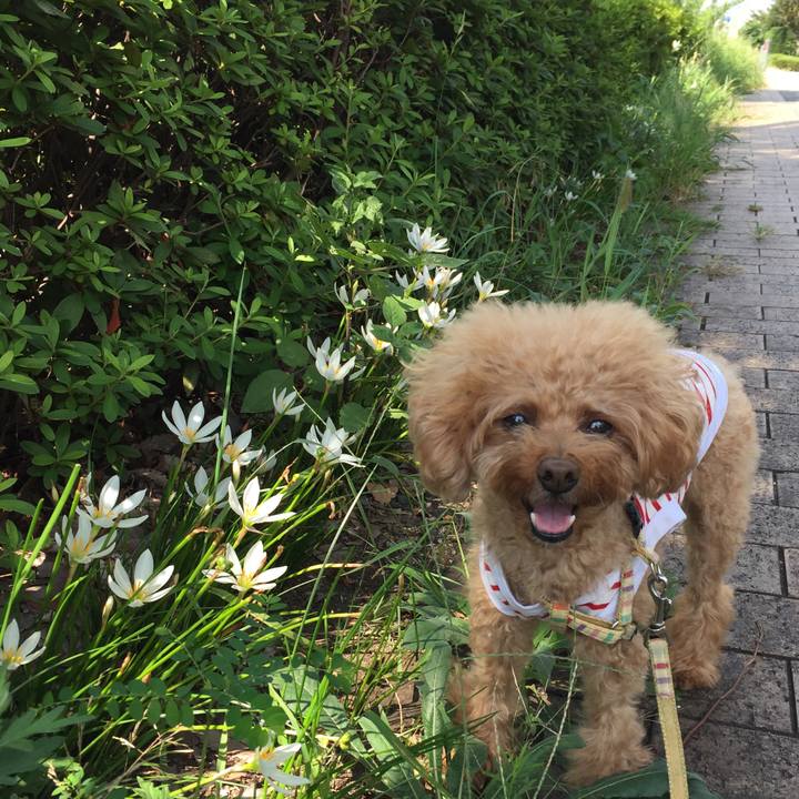 Af34b9fa 39dc 48d8 8303 7934805aff4f