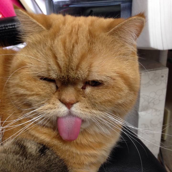 Af351777 7f96 4cbd 888c 0a302a339aa2