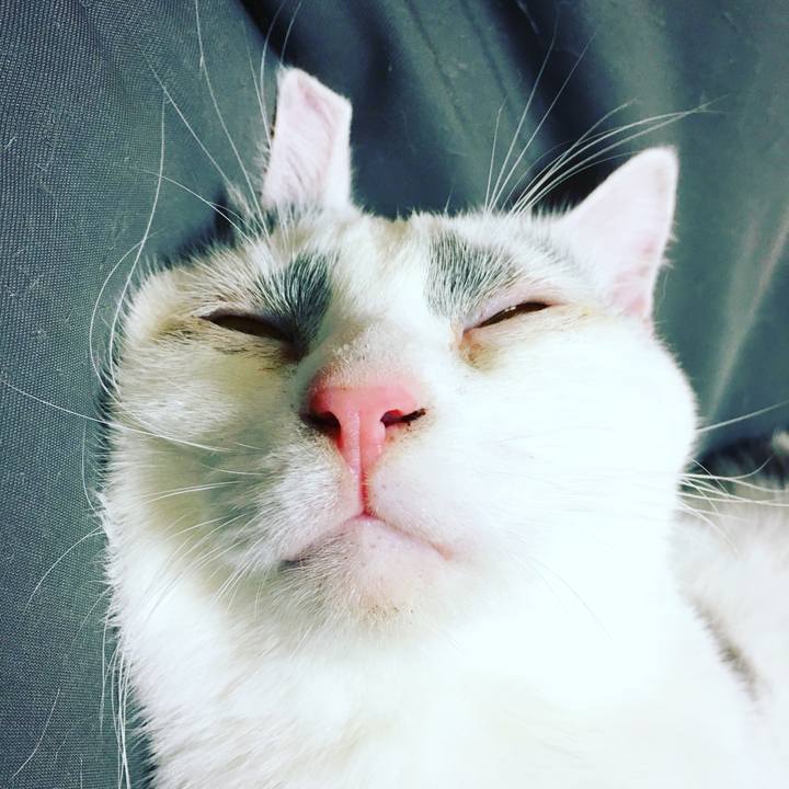 Af352107 ced3 450d abb8 20d768e68628