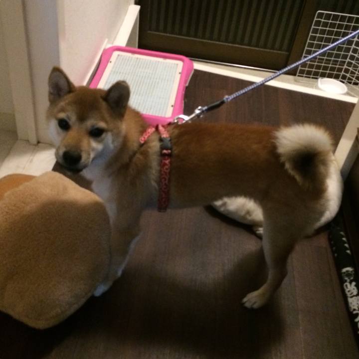 Af353d07 bd84 434f 8a14 72c5503c191e