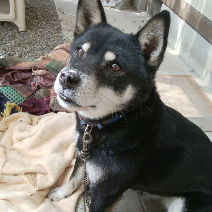 Af35b22d a770 48dc 8791 a442d5bcc14a