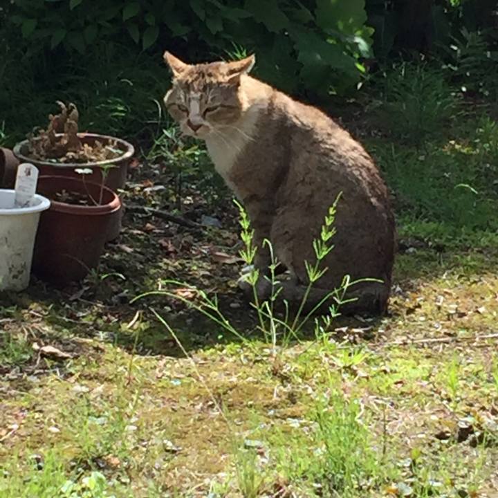 Af36a45c 59ad 47ed bdd1 27b2e3c702a1