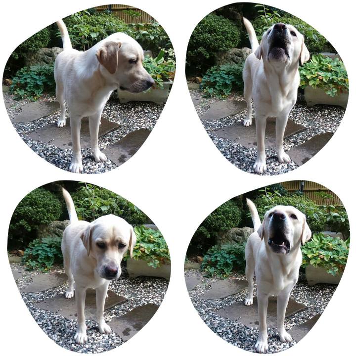 Af36e263 7f4d 4020 9697 91c28bbc9193