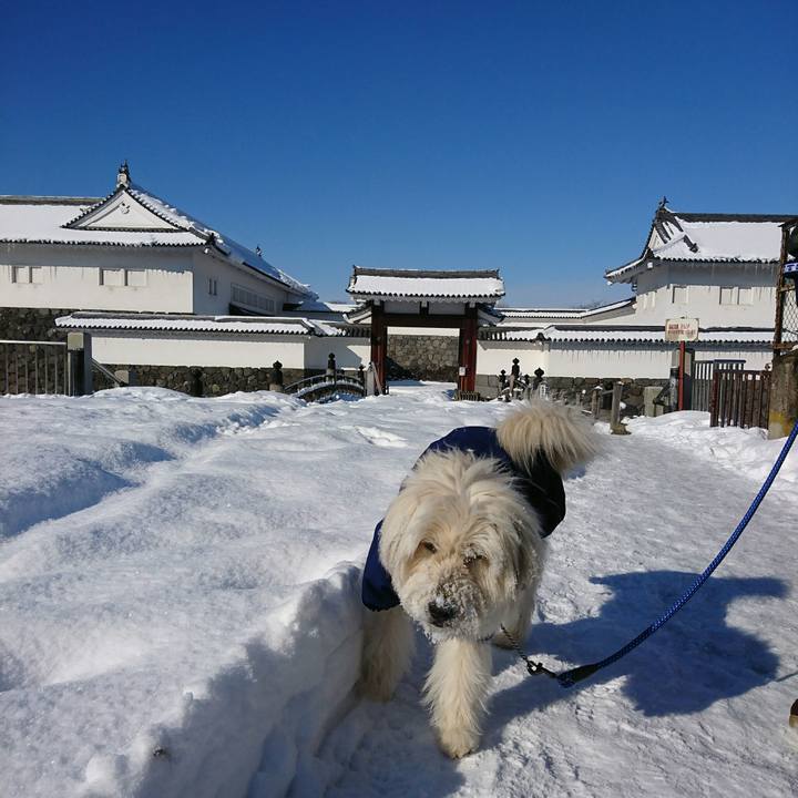 Af384c50 ac3e 4ce6 98b0 e9bcbba299e1