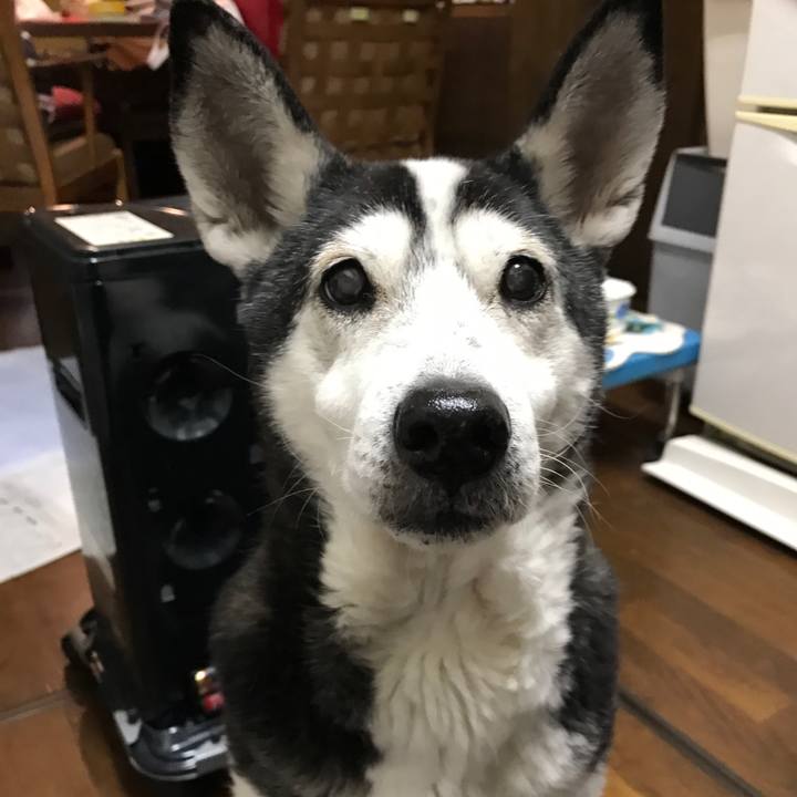 Af39f6d2 ddd1 42f3 97d5 c8edf30c2f0a