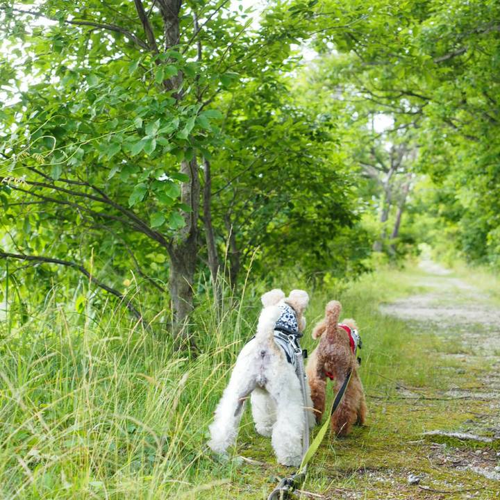 Af3a5678 70fe 47c0 b235 a48a256eec06