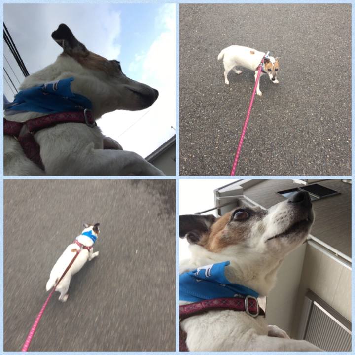 Af3a73fa ec7c 4c23 9f19 fa40234a3453