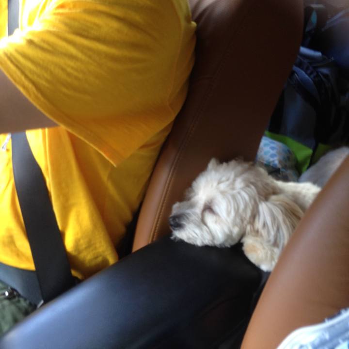 Af3aadc3 7ad4 4ab4 b486 b933be934d2e