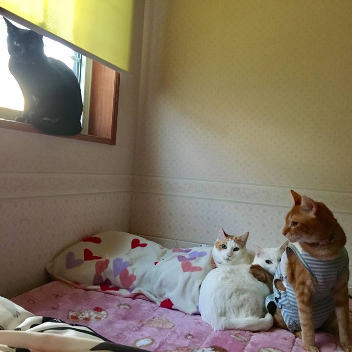 Af3ac0f5 70d2 482e b159 896ec2341f3e