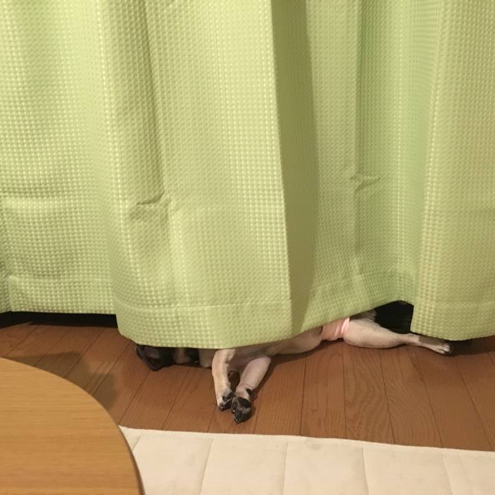 Af3b535f f036 4b87 89bc aa7926eef614