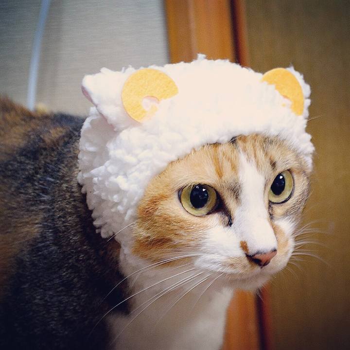 Af3b99d0 7c00 4529 b4ac 5472db466fbe