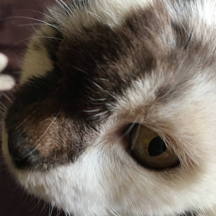 Af3caebd ce9a 42b7 ad16 8dfad7caf8d2