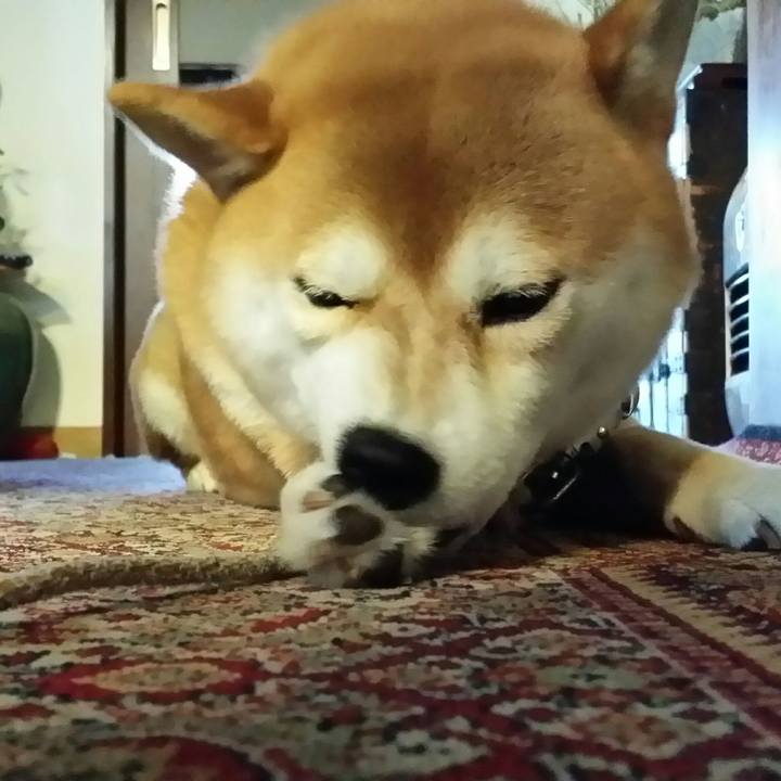 Af3db947 4377 49a3 b387 79e3cba85ced