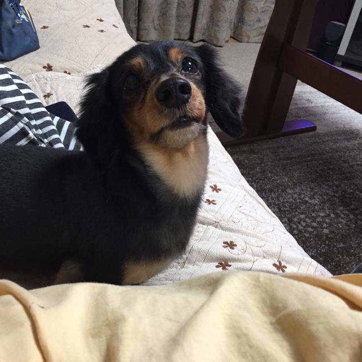 Af3e408a 8917 41fb 933f ee6814ec88bc