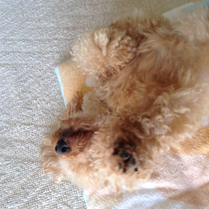 Af3e68f3 ad5d 4f3a 9b4e c6c7499aed41