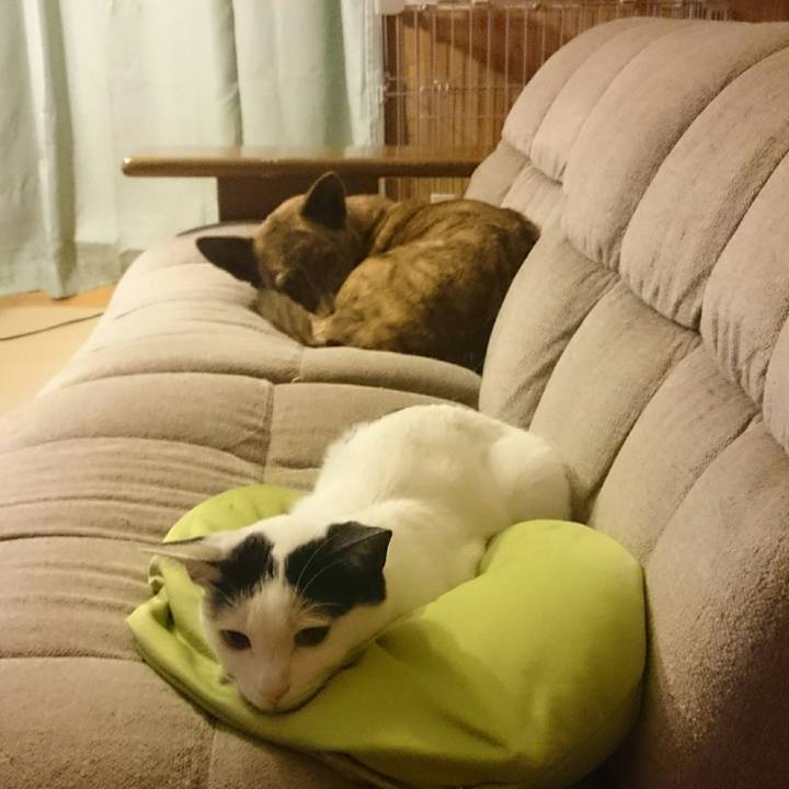 Af3e70f3 d792 4ebe b52b a27908c03312