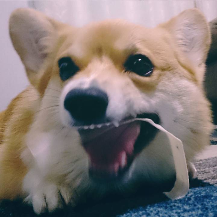 Af3ea227 9fa0 43cc bf0f 6bfc210b04e3