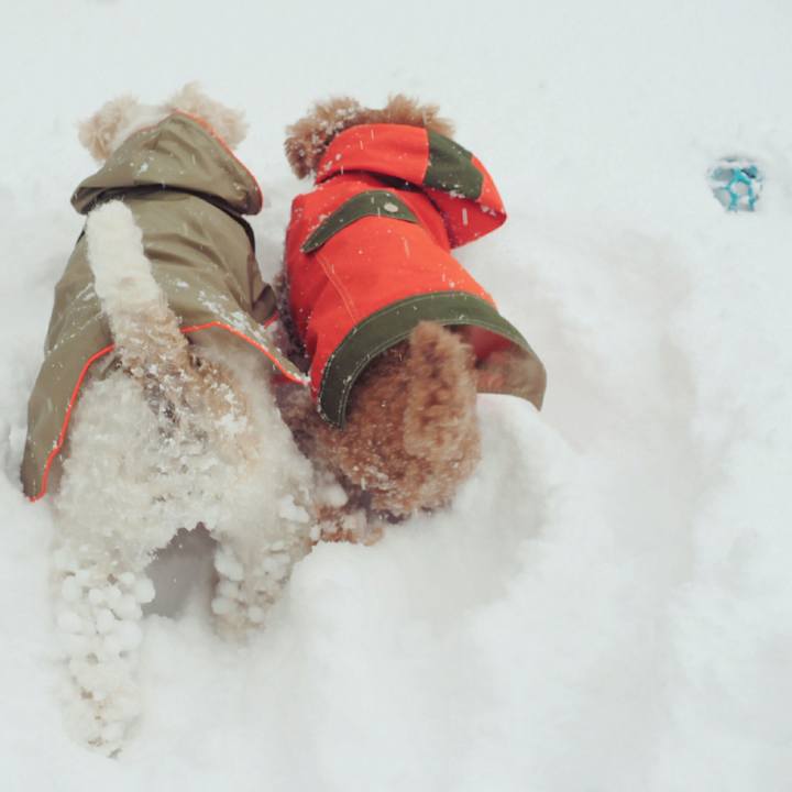 Af3f3e96 b36a 4a89 a368 ce9ef8b98354