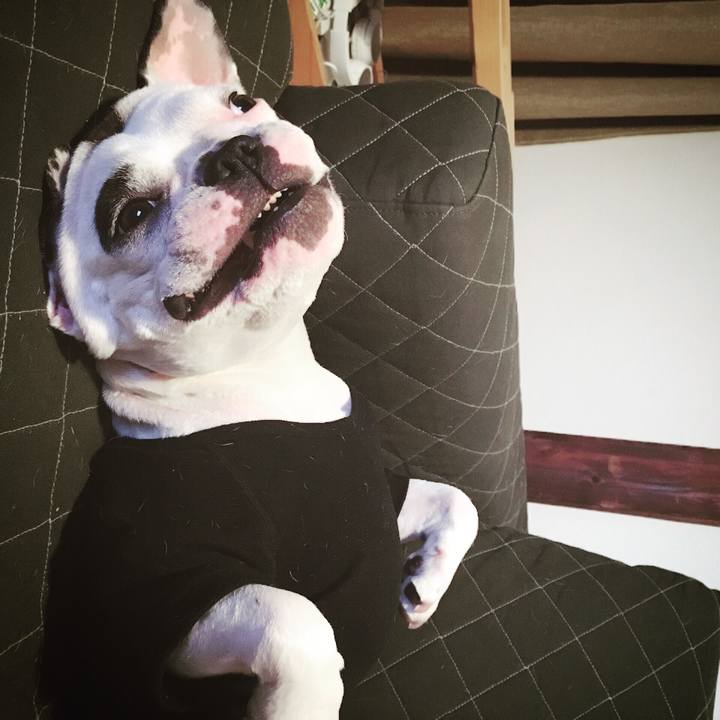 Af3f6b21 4b0b 42b9 9a1c f58c224705e9