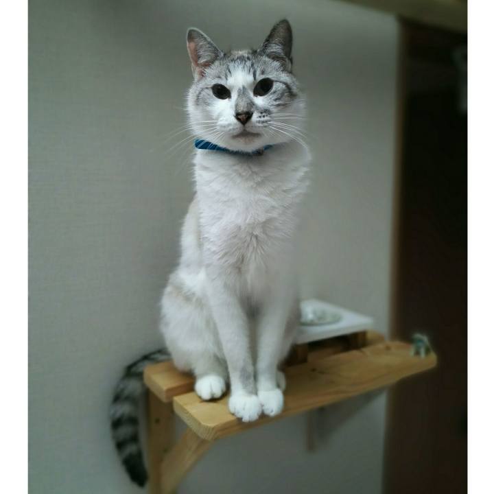 Af3fad0b d9a1 4e3a a611 f9bddcf91f45