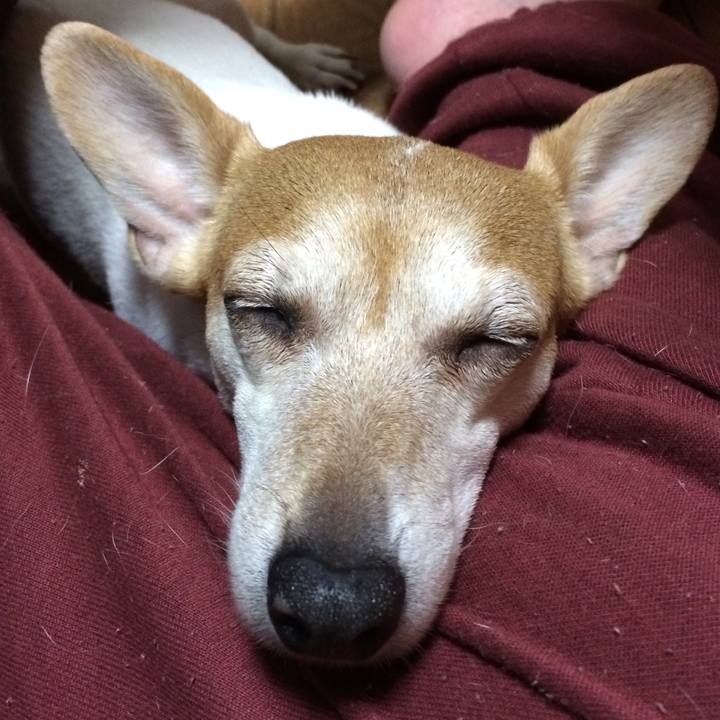 Af40694c 87f6 4233 bf91 f5da73a93dd2