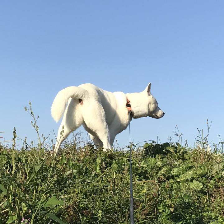 Af40841b 9679 484b aebc bf2cf8dacf9f