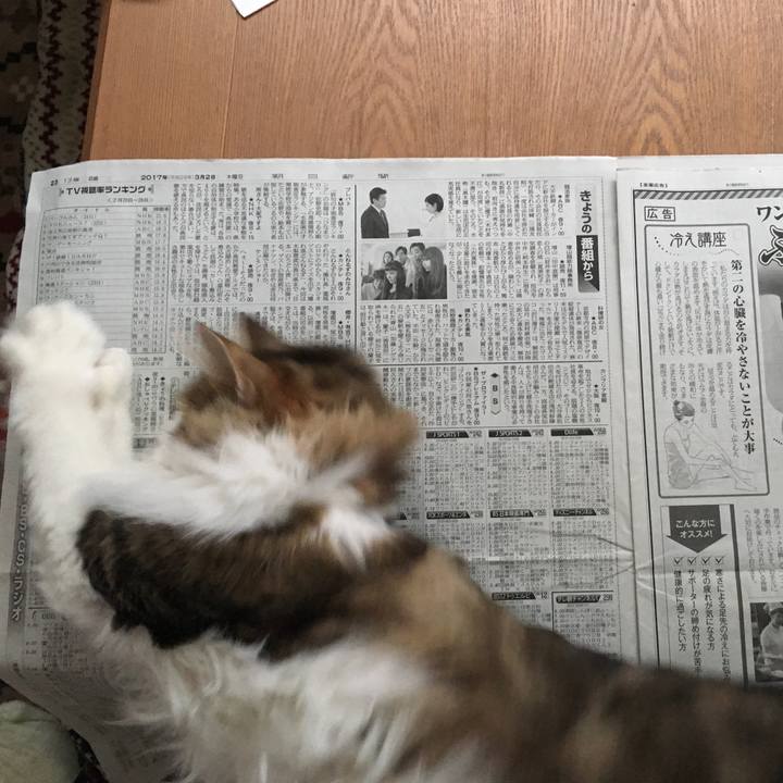 Af4096ca e693 4fb1 9a0f e3c4cfbab73a