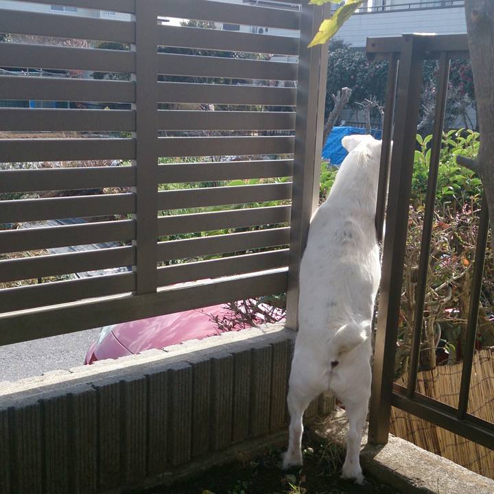 Af40ad2f 2994 4462 af08 b92429d7ee53