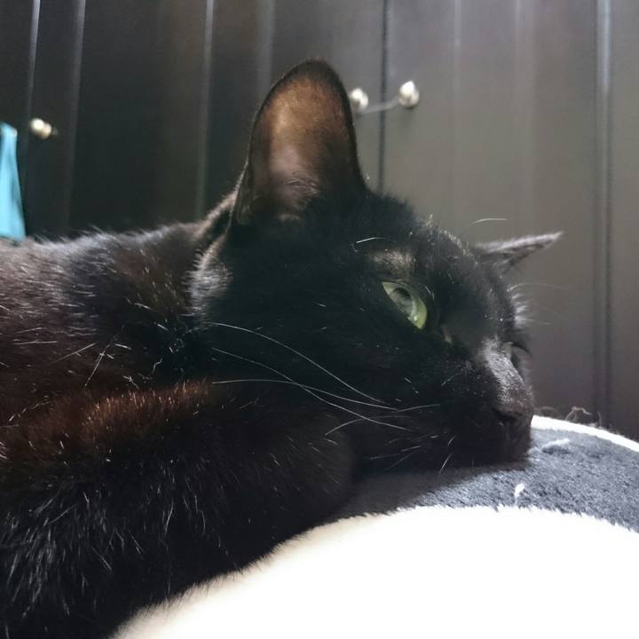 Af4101c2 0357 479d 9b21 b8e2ddd92d65