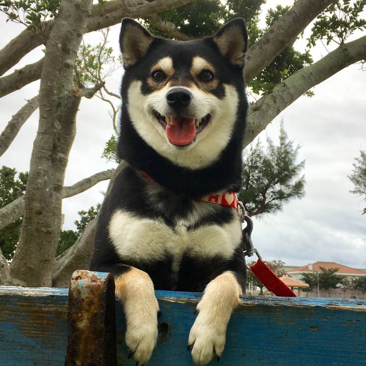 Af4175e9 4dcb 4524 93dd d3bef3d1301c