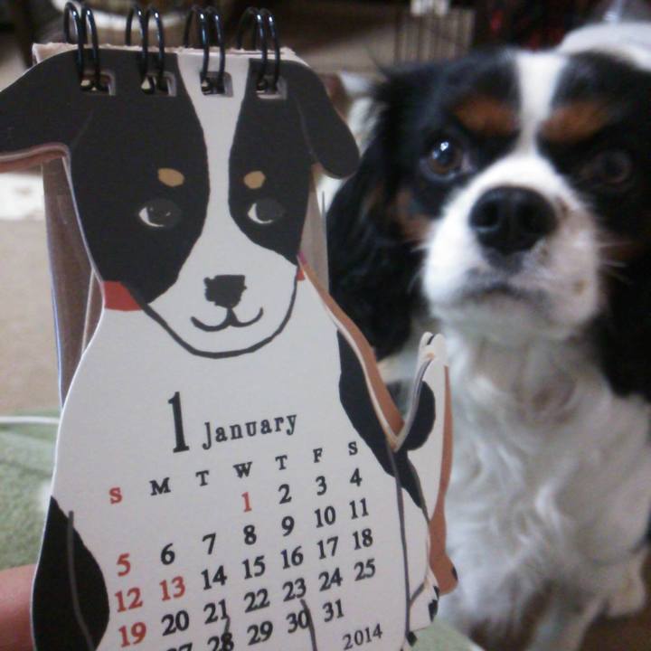 Af43ab7b 7c92 4f61 a43a 8a42367764b6