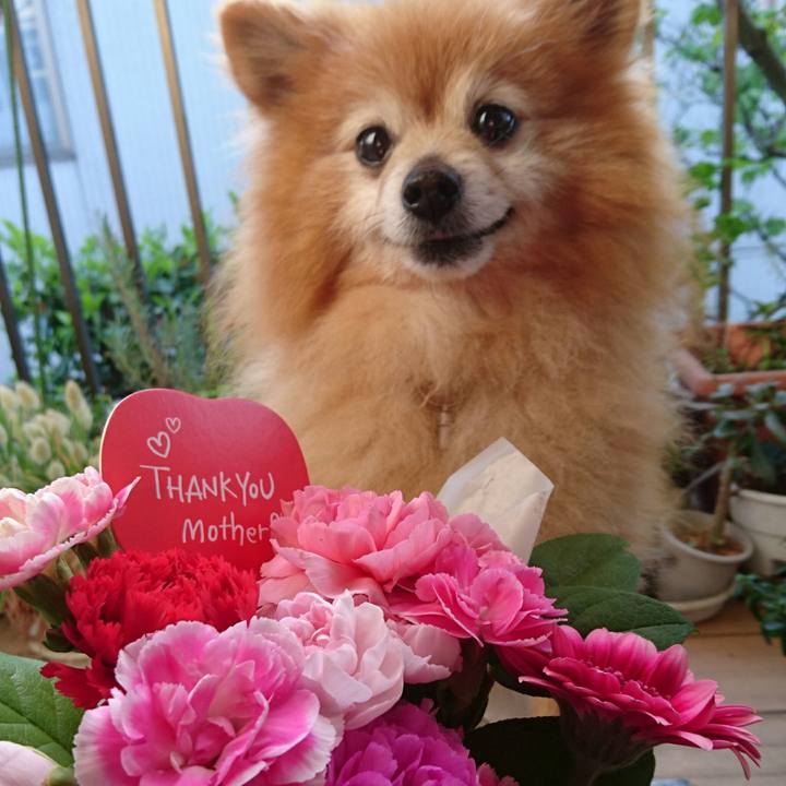 Af43fe81 9795 47bf bd5d a0aec99de39a