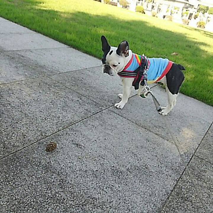 Af442e43 32b3 4458 8ddc 16796dbcc0aa