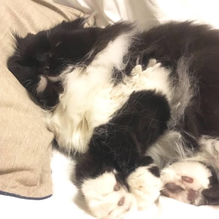 Af44597a 047f 4fcd 855d 7429bbf52d9b