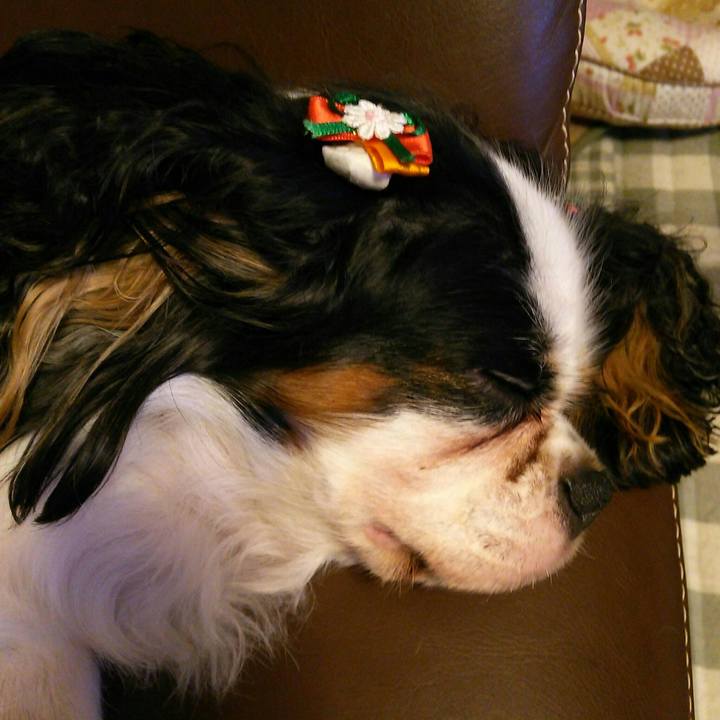 Af45c06a 2110 418a 9117 45582d7519c6