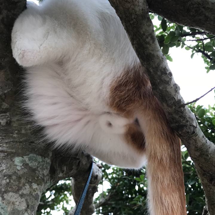 Af45e1ee 3e69 42fd ac76 61e6fd80b421