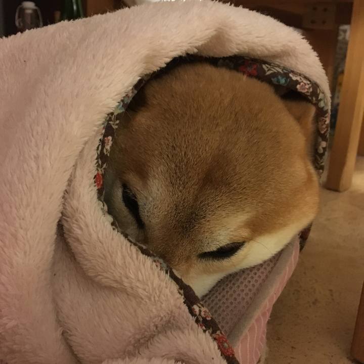 Af461f21 046a 48f6 8114 d2cb06cb356e