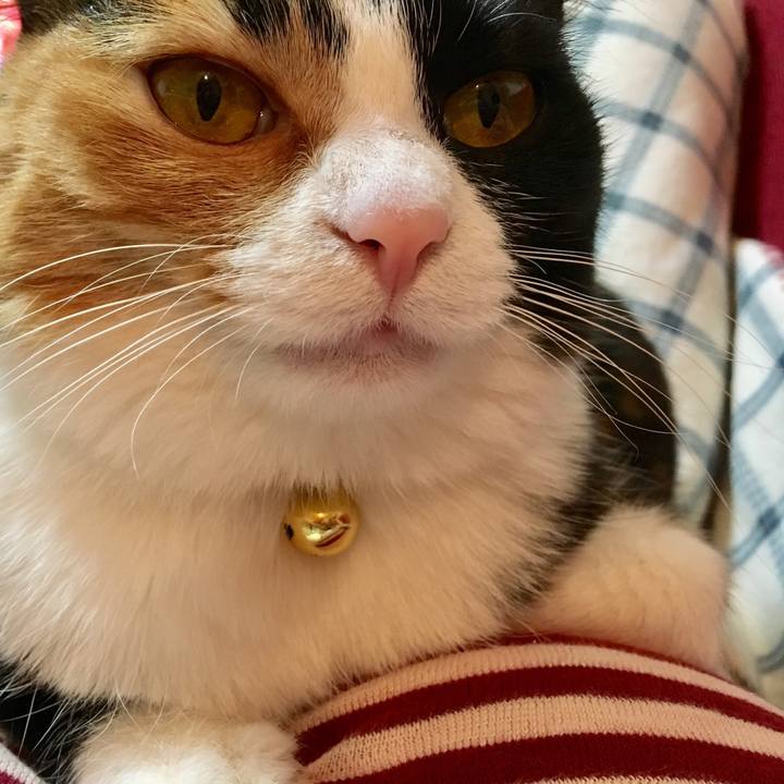 Af46b947 df88 4918 9cb6 4cf790b01eb1