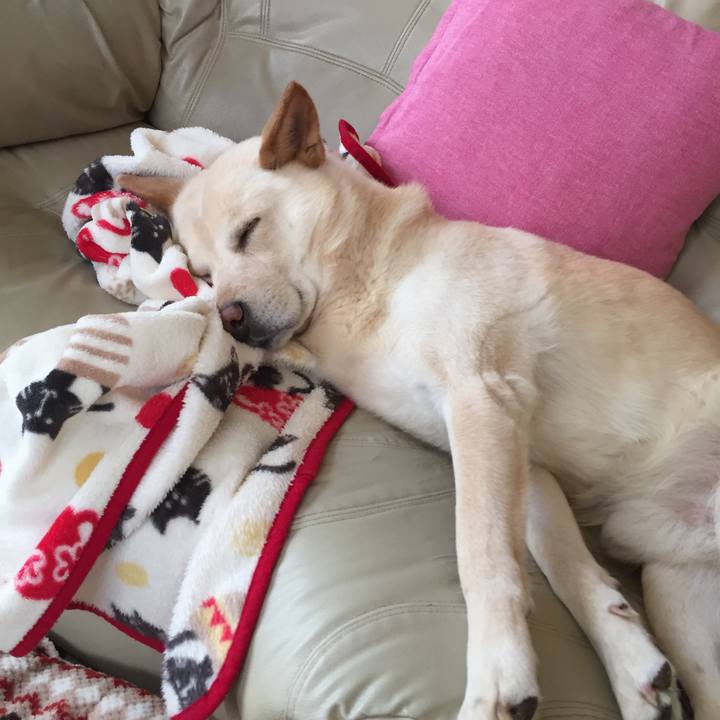 Af475e22 87e5 451b ad52 490dcba2ba1a