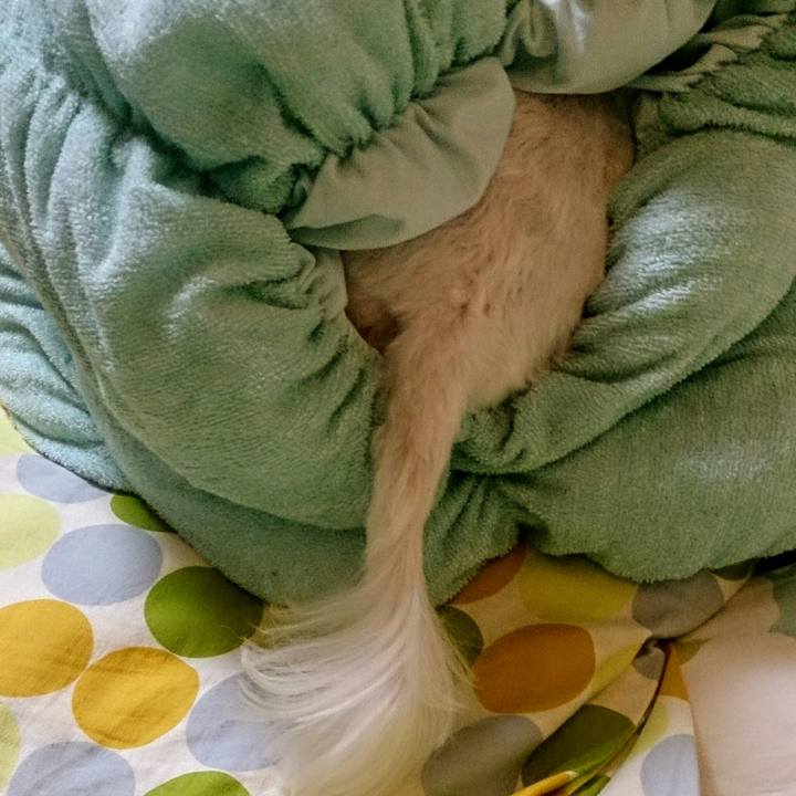 Af47648a 9c77 4a68 83db e49dec35bc0d