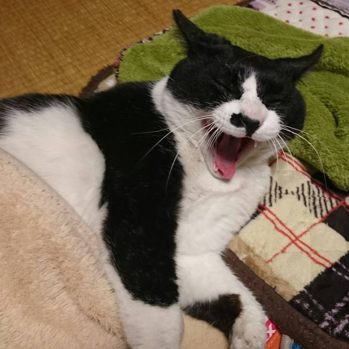 Af47a535 cafa 4976 b05e 74095f1f8d15