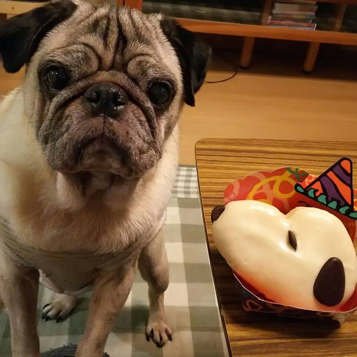 Af4804dc b1c9 459e 950e 6f56a471df79