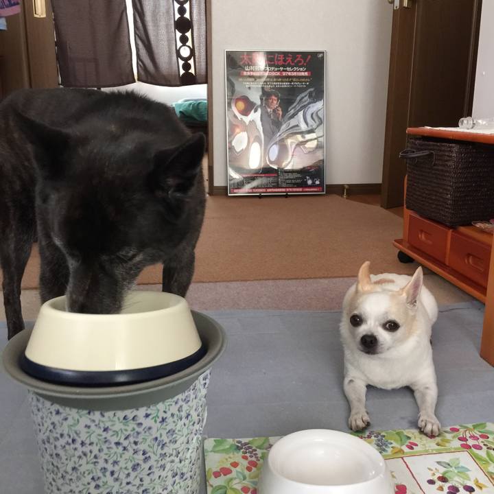 Af48b4eb 5e8f 4743 aa32 0d00d57fc88c