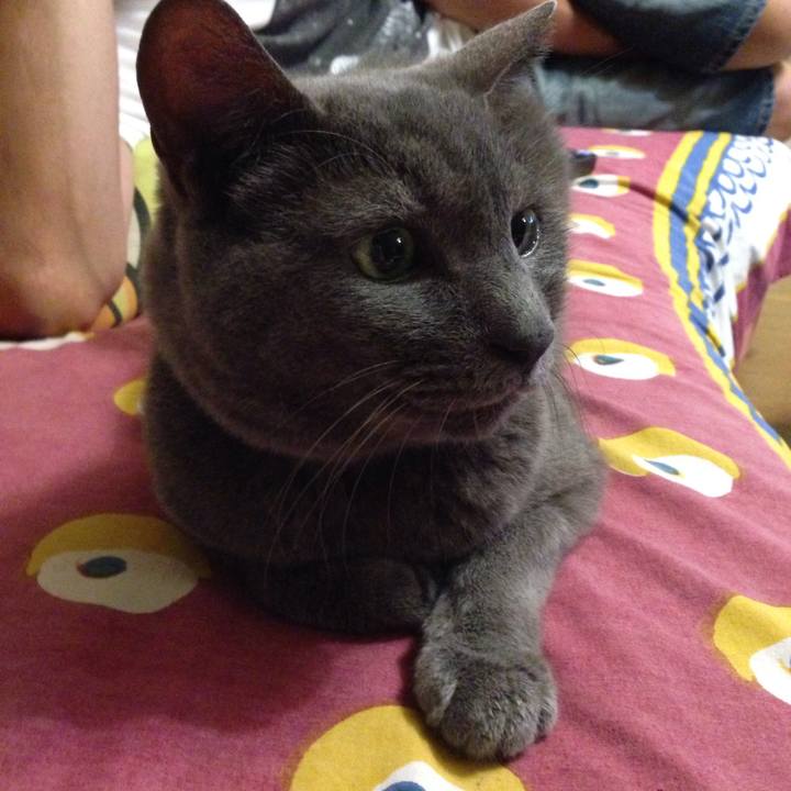 Af49138c 56ad 4a92 aea4 cd63402e8a5d