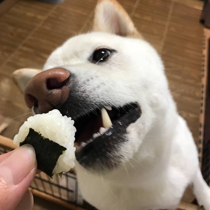 Af49b192 8fae 4ae7 a1fd 49a19f70bbc8